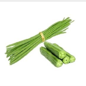 DrumStick / शेवगा / Shevga