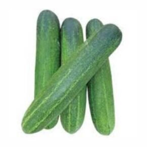 Green Cucumber / Hiravi Kakadi