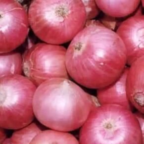 5 KG Onion / 5 Kilo Kanda
